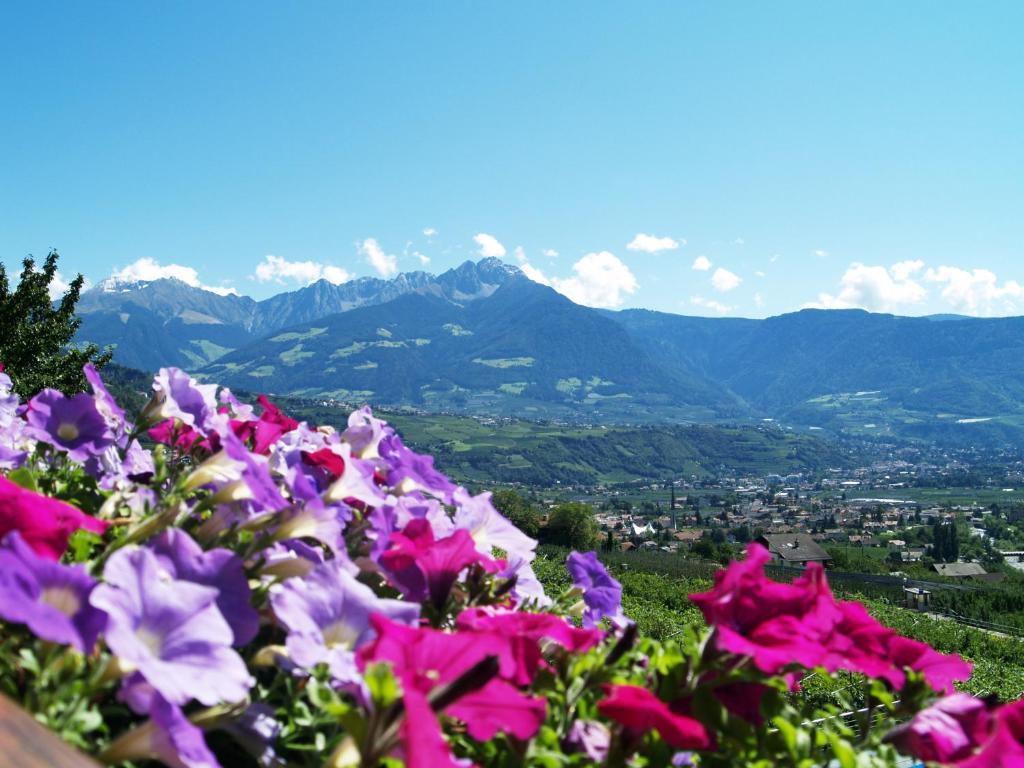 Pension Alpenblick Lagundo Luaran gambar